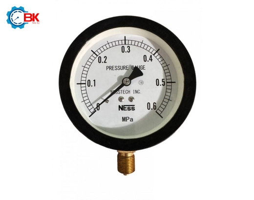  Đồng hồ áp suất hơi NESS D100mm 0-0,6MPa chân đứng ren 3/8″BSP