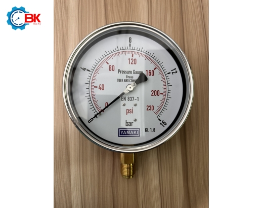 Đồng hồ áp suất Yamaki D160mm 0-16bar vỏ inox chân đồng chân đứng 1/2″BSP