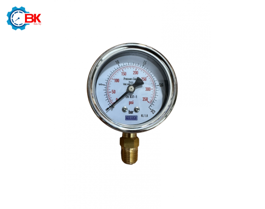 Đồng hồ áp suất Yamaki D63mm 0-25bar vỏ inox chân đồng ren 1/4"NPT