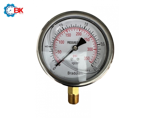 Đồng hồ áp suất Bradoten D100mm 0-25kg/cm2 chân đứng ren 3/8″NPT