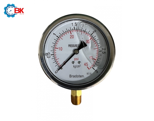 Đồng hồ áp suất Bradoten D100mm 0-3kg/cm2 chân đứng ren 3/8″NPT
