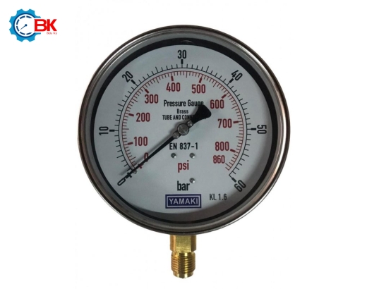 Đồng hồ áp suất Yamaki D160mm 0-60bar vỏ inox chân đồng chân đứng 1/2″BSP