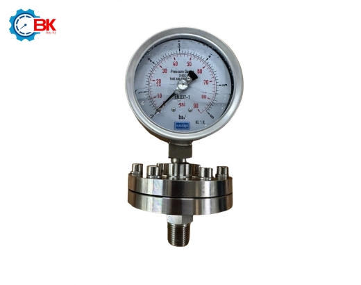 Đồng hồ áp suất màng Yamaki D100mm 0-6bar inox 316SS ren 1/2"NPT