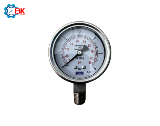ĐỒNG HỒ ÁP SUẤT YAMAKI D63MM 0-6BAR INOX316SS TOÀN BỘ CHÂN ĐỨNG REN 1/4"NPT