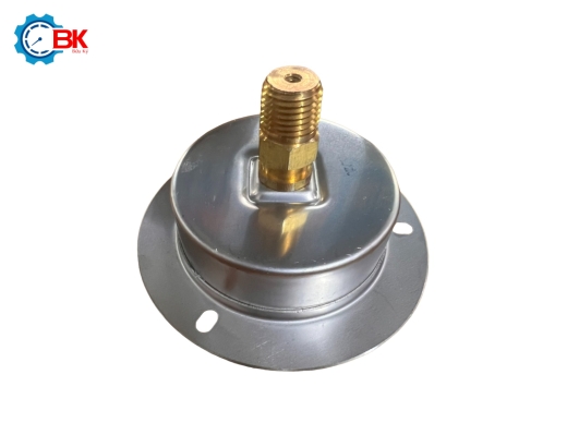 Đồng hồ áp suất D63mm 0-10bar vỏ inox chân đồng chân sau 1/4"NPT