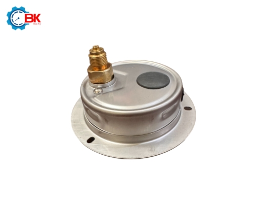 Đồng hồ áp suất Yamaki D100mm 0-25bar vỏ inox chân đồng chân sau 3/8″BSP