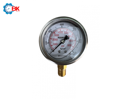 Đồng hồ áp suất Bradoten D63mm 0-600kg/cm2 chân đứng ren 1/4″NPT