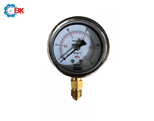 Đồng hồ áp suất Yamaki D63mm 0-2,5Mpa vỏ inox chân đồng ren 1/4"BSP