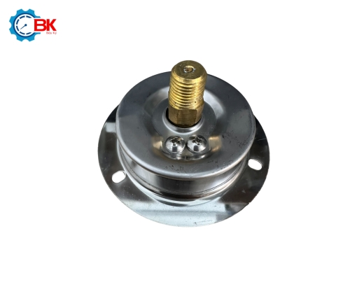 ĐỒNG HỒ ÁP SUẤT D63MM 0-40BAR VỎ INOX CHÂN ĐỒNG CHÂN SAU 1/4"NPT