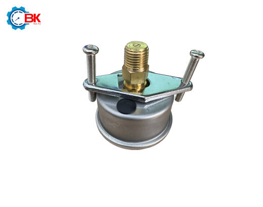 Đồng hồ áp suất D50mm 0-10bar vỏ inox chân đồng chân sau 1/4"NPT