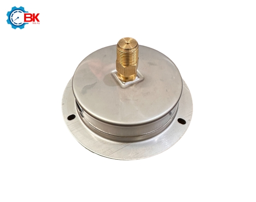 Đồng hồ áp suất Bradoten D100mm 0-6kg/cm2 chân sau ren 3/8″NPT