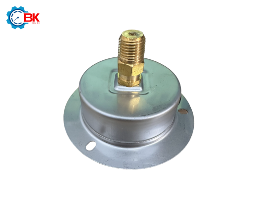 ĐỒNG HỒ ÁP SUẤT BRADOTEN D63MM 0-15KG/CM2 CHÂN SAU REN 1/4"NPT