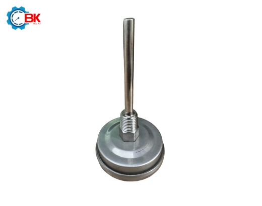 Đồng hồ nhiệt độ SHM D50mm 0-100 độ C/F chân sau L60mm 