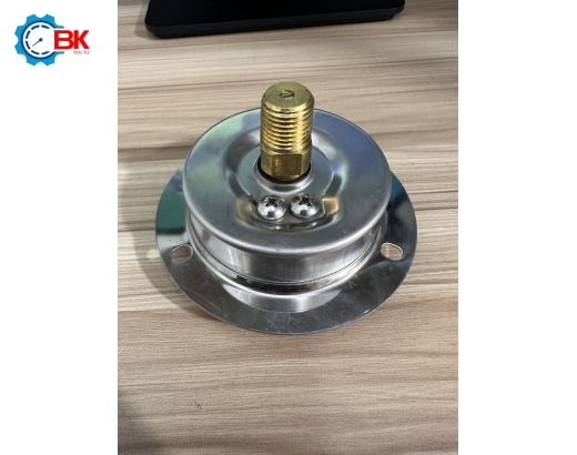 Đồng hồ áp suất D63mm -1~6bar vỏ inox chân đồng chân sau 1/4"NPT Đồng hồ áp suất D63mm -1~6bar vỏ inox chân đồng chân sau 1/4"NPT  Đồng hồ áp suất D63mm -1~4bar vỏ inox chân đồng chân sau 1/4"NPT