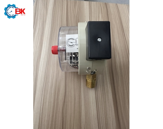 Đồng hồ áp suất 3 kim Yamaki D100mm 0-6kg/cm2 chân đứng ren 1/2″NPT